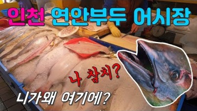 인천 연안부두 여행맛집 가볼만한곳 수산시장 해산물 시장탐방 해산물 활어회 킹크램 맛집 갈만한곳
