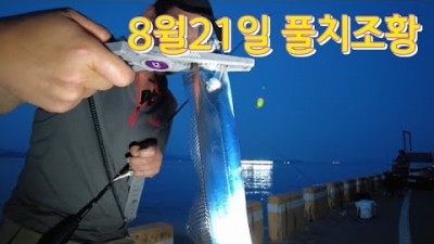 낙동강 바다낚시 여행 풀치조항 해안도로 낚시 가볼만한곳 추천