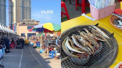 속초 여행,맛집,가볼만 곳 양미리 축제 , 양미리 맛집,동명항 오징어난전,연탄불 양미리구이,도루묵구이.맛집 갈만한 곳