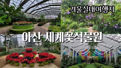 충남 아산 여행 가볼만한곳 세계꽃,식물원,겨울실내여행,꽃,식물,서울근교 충남여행 갈만한곳