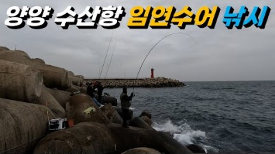양양 수산항 낚시여행 포인트 가볼만한곳 임연수낚시 방파제낚시 양양여행 바다낚시 갈만한곳