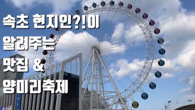 속초 양양 여행 맛집 가볼만한곳 속초항 양미리축제,대포항,동명항,여행 갈만한곳