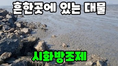 수도권 해루질 여행 가볼만한곳 시화방조제 키조개 갯벌 시화방조제 낚시포인트 갈만한곳