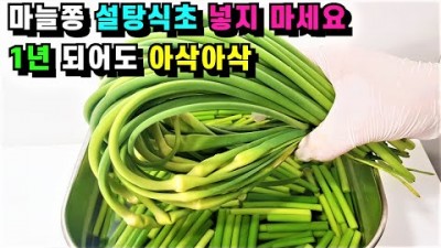 마늘쫑요리 마늘쫑양념 마늘쫑재료 마늘쫑삭힘 마늘쫑레시피 만느든 방법 및 비법