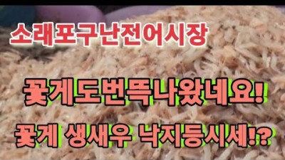 인천 여행맛집 가볼만한곳 소래포구 어시장난전 꽃게난전 생새우 소래포구난전 갈만한곳