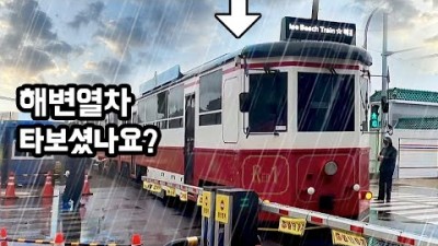 국내여행 가볼만한곳 당일치기여행 해변열차 블루라인파크 여행 비 오는날 무궁화호열차타고 국내여행지 갈만한곳