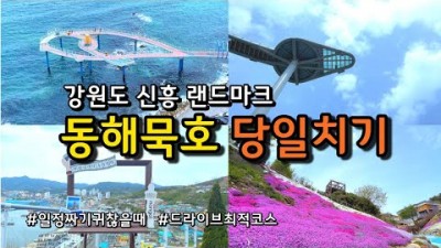 강원도 동해 당일치기 여행 가볼만한곳 한국관광100선 도째비골 스카이벨리 해랑전망대 바람의언덕 묵호활어센터 논골담길 삼척여행 갈만한곳
