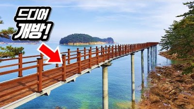 겨울여행 한국여행 국내여행 바다여행 대중교통여행 당일치기여행 갈만한곳