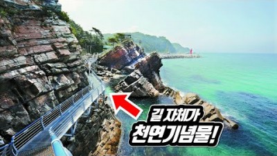 정동진 바다부채길 국내여행 가볼만한곳 전구간 개방 길 전체가 천연기념물인 최고의 해안 트래킹 코스 당일치기 기차여행 갈만한곳