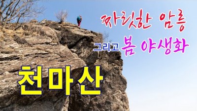 남양주 천마산 산행 가볼만한곳 천마산 복수초와 암릉산행 천마산 수진사 봄 야생화구경 갈만한곳