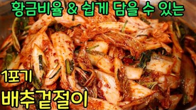 김치겉절이 맛있게 담그는법 1포기 배추겉절이 담그는 방법 및 재료
