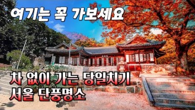 10월, 가을 단풍 국내 서울 당일치기 단풍명소 가볼만한곳 추천