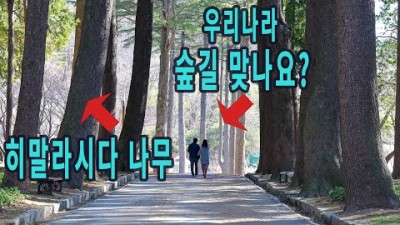 양산 여행 통도사 법기수원 비밀의 숲 매화, 벚꽃과 함께 가면 좋을 여행지BEST 7 최고의 봄 여행지 가볼만한