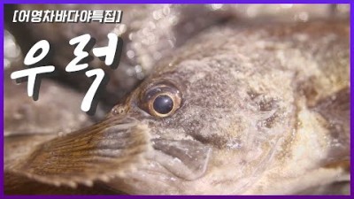 목포 맛집 가볼만한곳 어영차바다야 횟감 우럭  우럭젓국 맛집 갈만한곳