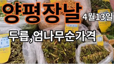 양평 장날 가볼만한곳 두릅나물 엄나무순 봄나물가격 오일장 장날 재래시장 갈만한곳