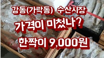 가락시장 수산시장 수산물 가볼만한곳 가락동수산시장 강동수산물 시장 고물가 미친가격  및 정보