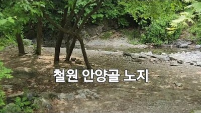 강원도 철원 담터계곡 안양골 여행 여름휴가지 가족나들이 가족여행 가볼만한곳 소개