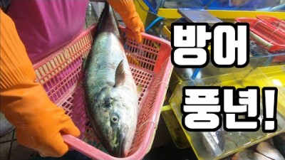 인천 여행 가볼만한곳,연안부두,방어제철,어시장,최저가,수산물,연안부두 어시장 갈만한곳