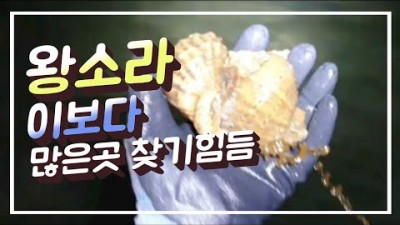 수도권 해루질 명소 시화방조제 해루질포인트, 왕소라해루질, 박하지해루질 정보