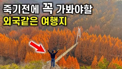 대전 여행 가볼만한곳, 대전 출렁다리 '장태산자연휴양림' 갈만한곳, 당일치기여행, 대전 기차여행 가볼만한곳