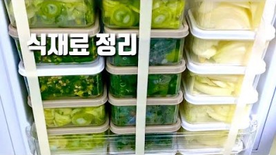 냉동실 냉장고정리 식재료보관 다이소제품 하나로 해결하는 방법 비법