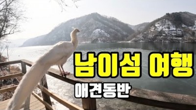 남이섬 여행,맛집 가볼만한곳 , 애견동반, 당일치기여행, 아띠춘천닭갈비, 북한강데이트코스, 아이와함께 갈만한곳