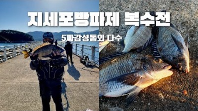 거제 지세포방파제 낚시여행 가볼만한곳 감성돔낚시 방파제낚시 지세포낚시 바다낚시 거제도 지세포낚시 갈만한곳