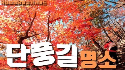 설악산 가을여행 추천 가을트레킹 단풍명소 한계령 설악산등산 가볼만한곳