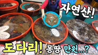 김포 대명항 어시장 가볼만한곳 도다리 수산시장 소래포구 한가득 단돈 만원의 행복 갈만한곳