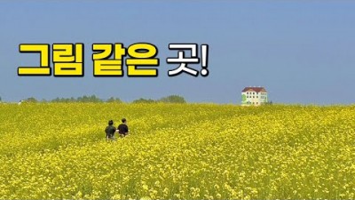 서울근교 여행 경기도 가볼만한곳 국내여행 당일치기여행 6월여행지 뚜벅이여행 갈만한곳
