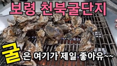 충남 보령 맛집 가볼만한 곳 천북 굴 축제,석화구이,굴단지,굴찜,굴구이,보령천북굴단지 맛집 갈만한 곳