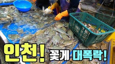 인천 연안부두 어시장 술안주 꽃게 제철 방어 생새우 ,낙지,소라,한가득 연안부두어시장 여행의맛 가볼만한곳