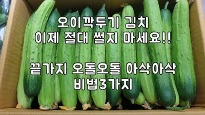 오이김치 오이깍두기 양념레시피 오이반찬 만드는 비법 및 재료