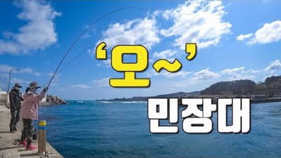 포항 신창 방파제 낚시여행 가볼만한곳 민장대낚시 감성돔낚시 낚시포인트 신창방파제 바다낚시 갈만한곳