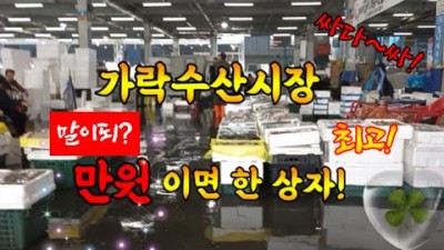 서울 가볼만한곳 가락시장 가락수산시장 어시장 재래시장 농수산시장 갈만한곳