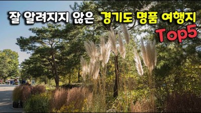 경기도 가을여행 가족나들이 데치트코스 가볼만한곳 추천