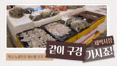 노량진 수산시장 복주꾸미 알주꾸미 주꾸미 농수산시장 가볼만한곳