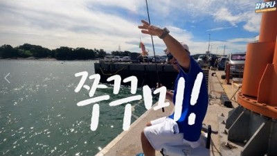 서해 안면도 영목항 발판 편한 쭈꾸미 낚시포인트