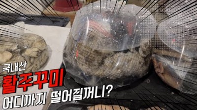 국내산 쭈꾸미 노량진시장 가볼만한곳 복쭈꾸미 활주꾸미, 알쭈꾸미, 새벽시장 갈만한곳