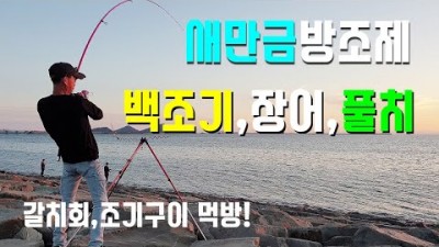 군산 낚시여행  새만금방조제 바다낚시 밤낚시여행 가볼만한곳 추천