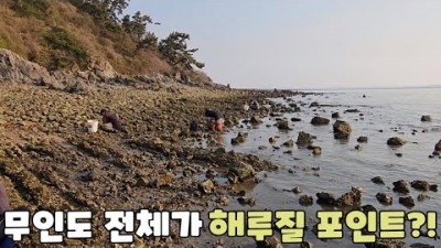 태안 여행 마검포 해루질 가볼만한곳 해루질포인트 여행 무인도여행 가볼만한곳 섬해루질 갈만한곳