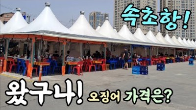속초여행 가볼만한곳 어시장 오징어난전 통찜오징어 수산시장 속초항 강원도 여행 갈만한곳