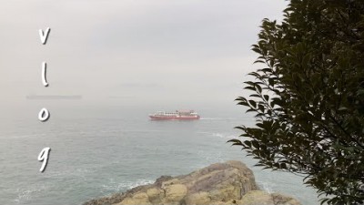 여수여행 가볼만한곳 여수로 졸업여행 여수케이블카 벽화거리 오동도 동백열차 직장동료들과 여행 여수 밤바다 낭만포차 여수여행 갈만한곳