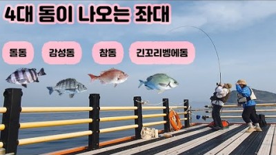 통영 섬 낚시여행 가볼만한곳 욕지도낚시, 유동마을, 감성돔, 돌돔, 긴꼬리벵어돔, 참돔 4대돔, 욕지도찌낚시 전용좌대 소개