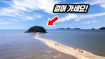 국내여행 한국여행  섬여행 버스여행 섬마을 당일 치기 여행 대중교통 여행 투어 갈만한곳