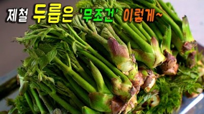 두릅 요리 제철음식 두릅손질 두릅요리 만드는 레시피 비법
