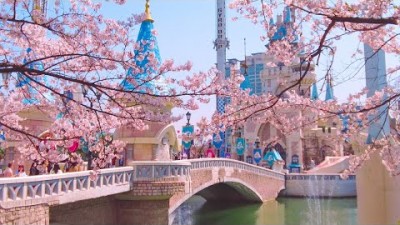 대중교통 타고 쉽게 가는 봄 여행지 BEST 5 당일치기 국내여행 뚜벅이 여행 벚꽃개화시기 혼자여행 갈만한곳