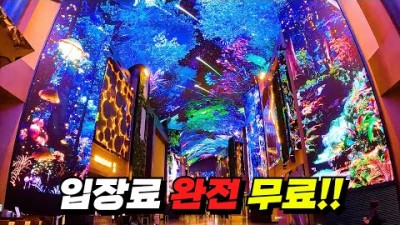 한국여행'입장료 완전무료' 한국판 라스베가스 거걷는 여행 국내여행 대중교통 뚜벅이 여행 가볼만한곳