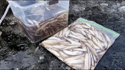 경북 여행 낚시 가볼만한곳,빙어낚시저수지,빙어낚시, 빙어낚시장비, 빙어낚시채비, 빙어튀김 경상도 여행 낚시 갈만한곳