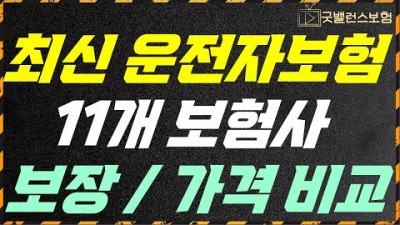 운전자보험 손해보험 보장 가격 비교 추천